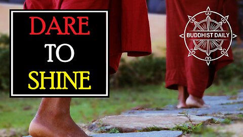 A Light Few Dare to Shine: Thich Nhat Hanh’s Timeless Truth - Lama Dawa's Commentary