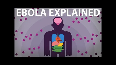 The Ebola Virus Explained — How Your Body Fights For Survival