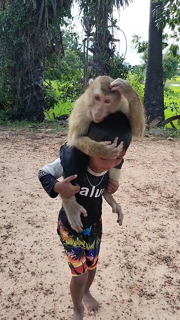 Well Best SokYaa, OG, Pao & Mom Are Famous Around The World #shorts #anime #trend #edit