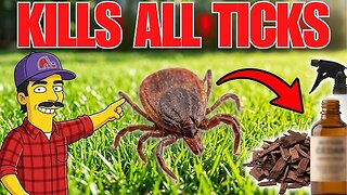 Kill Every TICK In Your Yard — SAFE For Pets & Kids! (Video)