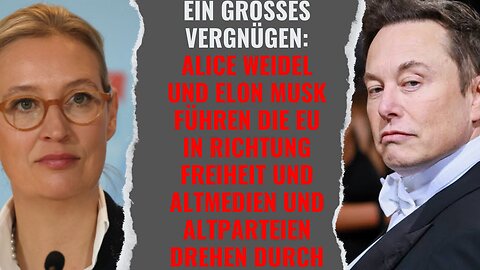 Elon Musk und Alice Weidel führen die EU in Richtung Freiheit - und die Unterdrücker drehen durch!