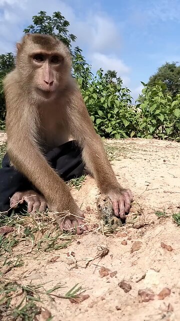 Well Best SokYaa, OG, Pao & Mom Are Famous Around The World #shorts #anime #trend #edit