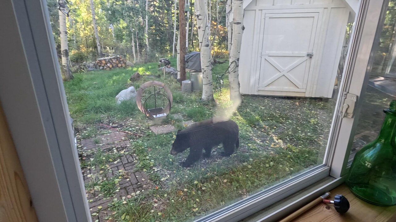 A Little Visit from Teddy