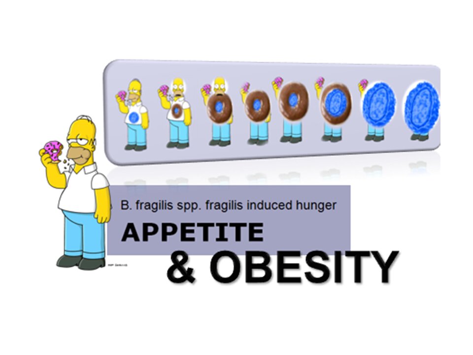 Obesity - From Fa(c)t to Fit
