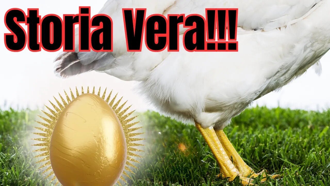 GALLINA DALLE UOVA D'ORO