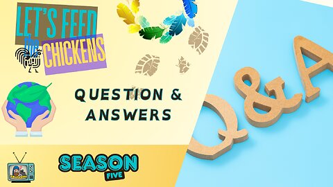 Q & A | Let's Feed the Chickens | E153