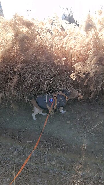 20260209. God made the world.