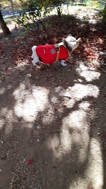 20251118. I Believe God.