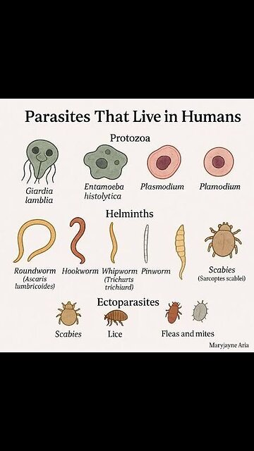Parasites aren’t just in undercooked pork or tropical water.