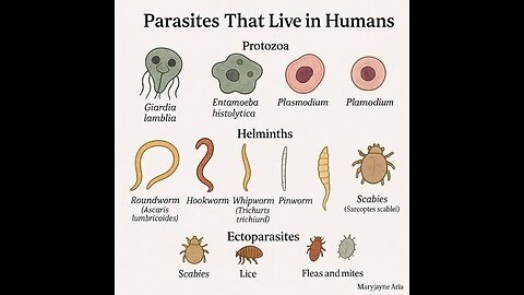 Parasites aren’t just in undercooked pork or tropical water.