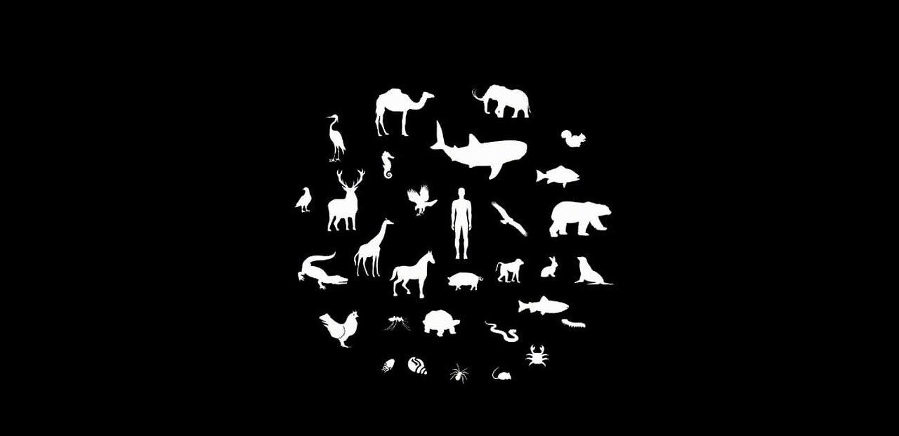 Humans Seem To Be The Problem - Or So They Would Have Us Believe