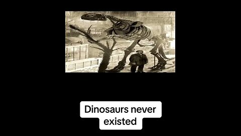 Dragons Not Dinosaurs