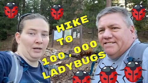 A Million Ladybugs on Mount Graham: A Breathtaking Hiking Adventure with A&G!