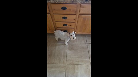 My AMAZING birthday presents from Mrs. Trooper