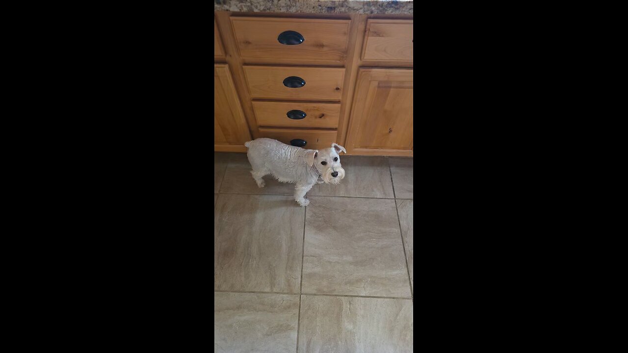 My AMAZING birthday presents from Mrs. Trooper