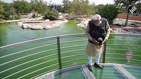 PM Modi inaugurates, tours Anant Ambani’s ‘Vantara’ Rescue Centre in Gujarat