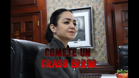 EL DESARME A LA POBLACION DOMINICANA NO ES LA SOLUCION (El error de Faride)