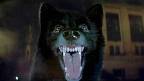 Wolfen-Albert Finney, Gregory Hines-1981 IMDB 6.3/10