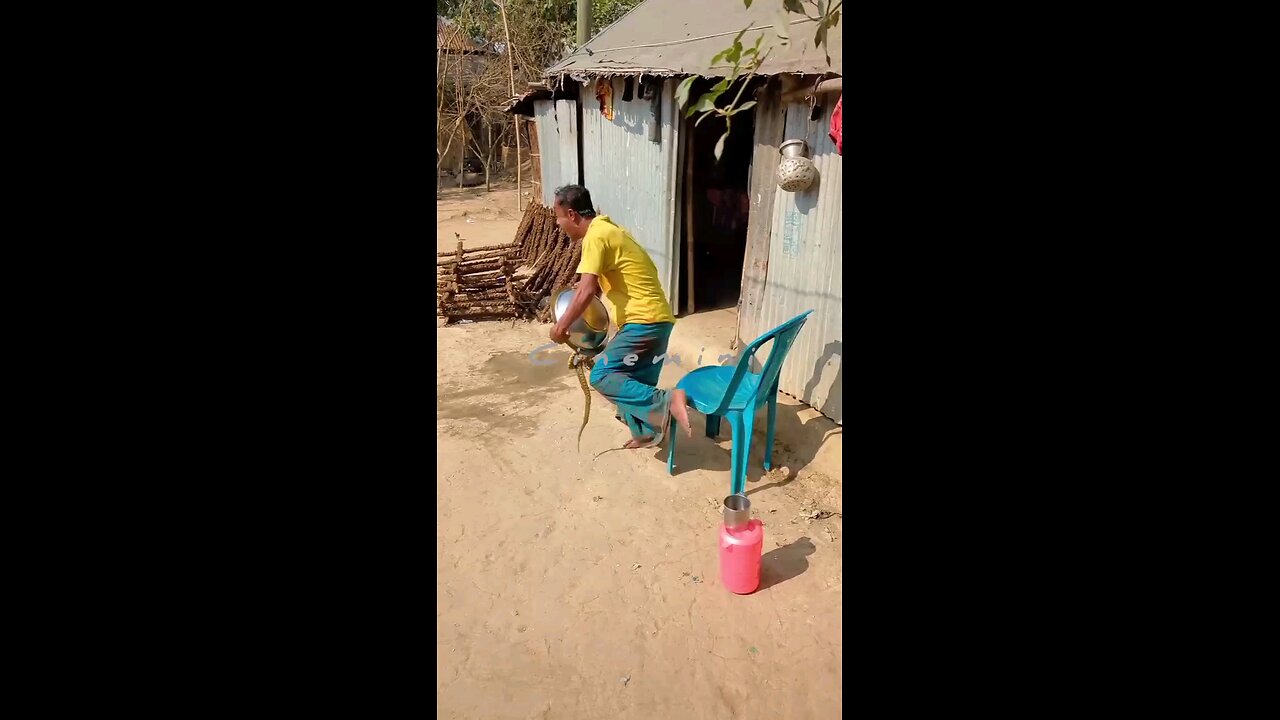 Heartwarming Moments A Bowl of two snake for eating