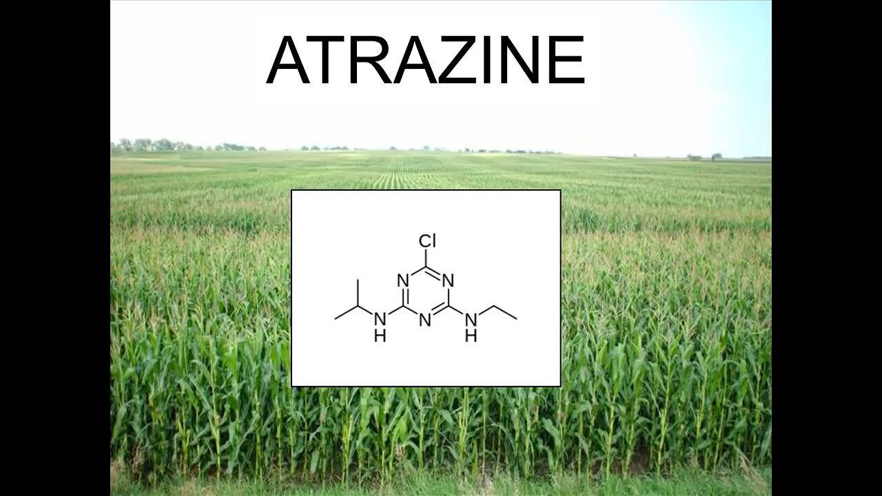 Tyrone Hayes Lecture