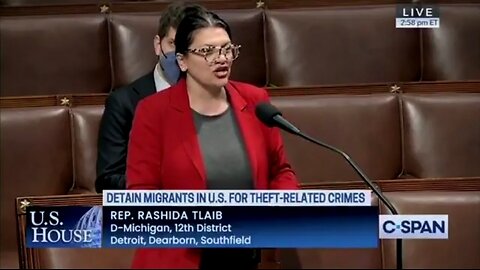 Rep Rashida Tlaib Calls GOP Racist Over Bill That Detains Illegals Over Stealing