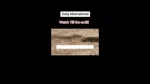 Daily Motivational: Please like and subscribe.