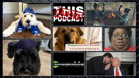 S06E46: Everything's Going to the Dogs! Peace Agreement? Ghost of Yotei Sucks & Nintendo Sucks Too!