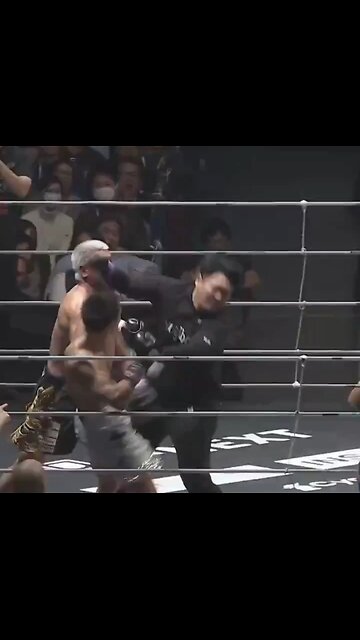 Chaos As Ref Gets Punched Multiple Times During Boxing Match