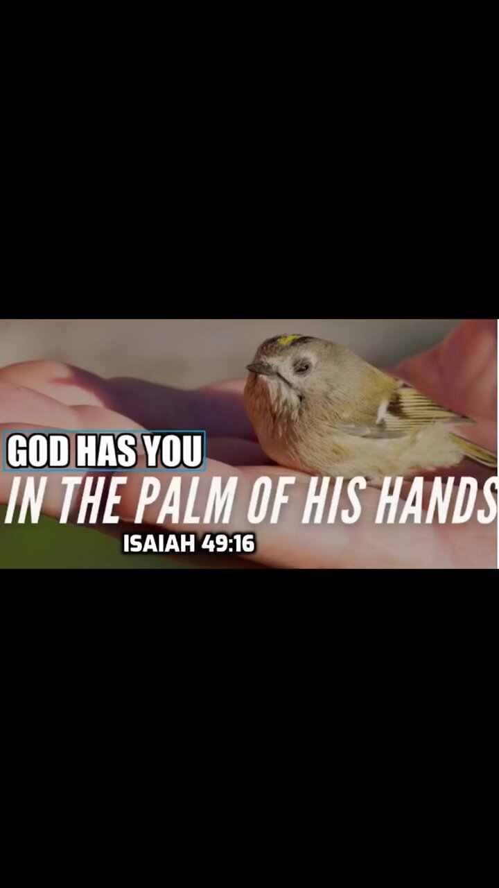 God has you in the palm of His hands