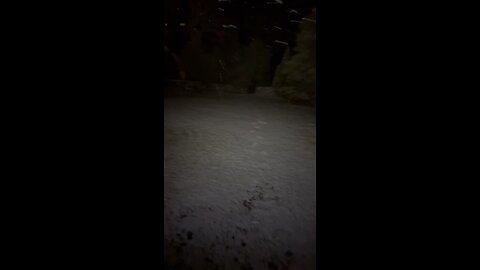 🤩Pilguse Residency