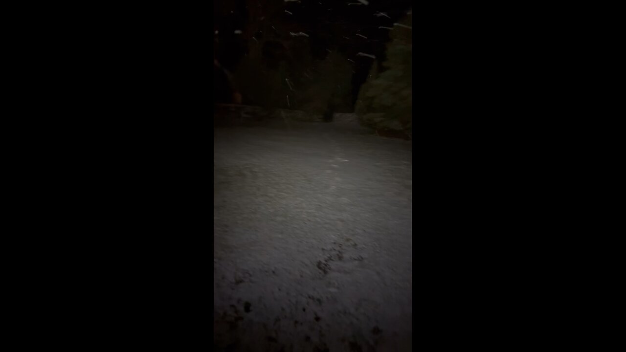 🤩Pilguse Residency