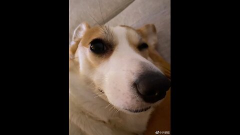 于朦朧Yu Mangling Support the Avaaz petition https://QNoLdF.short.gy/justice-alan