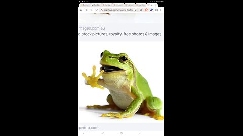 Froggy...🐸🐛🦎