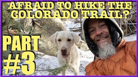 Afraid to Hike the Colorado Trail? Part 3