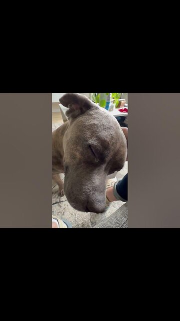 OH YEAH, THATS THE SPOT