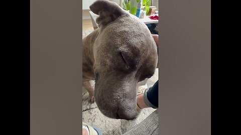 OH YEAH, THATS THE SPOT