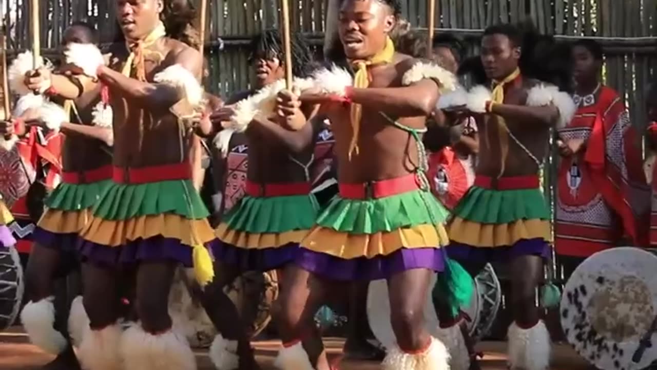 Zulu war dance