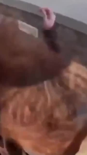 Blacks attack White woman