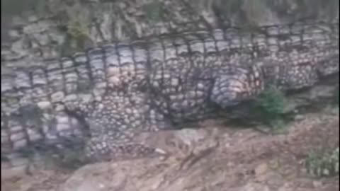 🦖😱 Fossilized Giant Alligator Found—Hoax or Truth? | TheTruthAbove