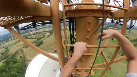 Bee Attack on Antenna Tower