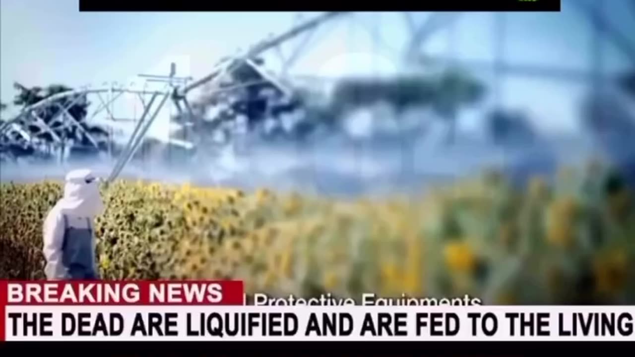 I keep warning you about Big Food. ⚠️