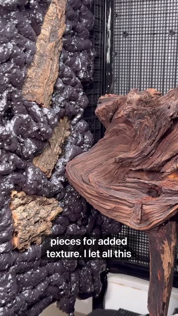 3 Months Later - My Terrarium Was Finished!