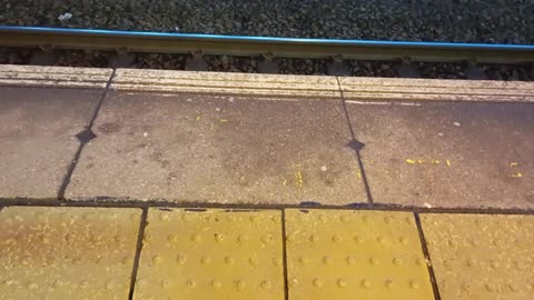 Walkie talkie: prevent and mappa are lost causes