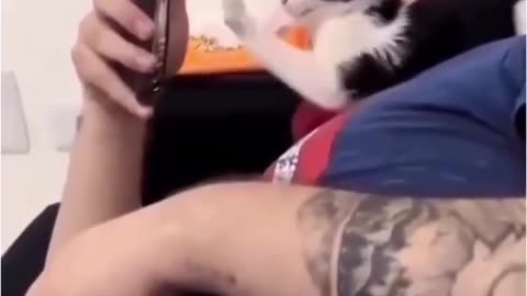 😂🤖 AI or Not? This Hilarious Clip Will Make You Laugh! | FunFM