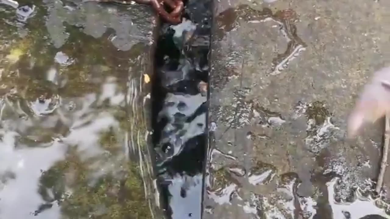 😨🔍 What’s Lurking Beneath? | TheHauntingHour