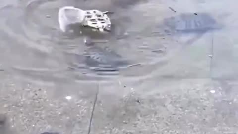 Friends come to rescue.. ♥️