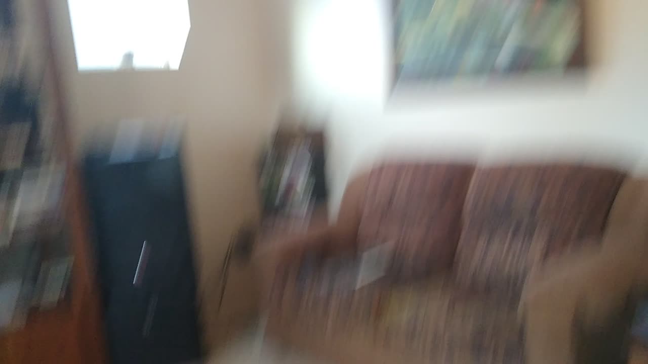 The bnkywuv critter discovers the light fixture is loose