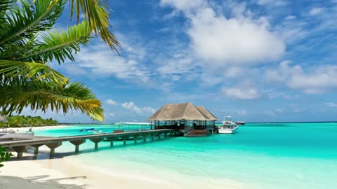 This Tropical Paradise Is Sinking Fast – Visit Before It’s Gone! News