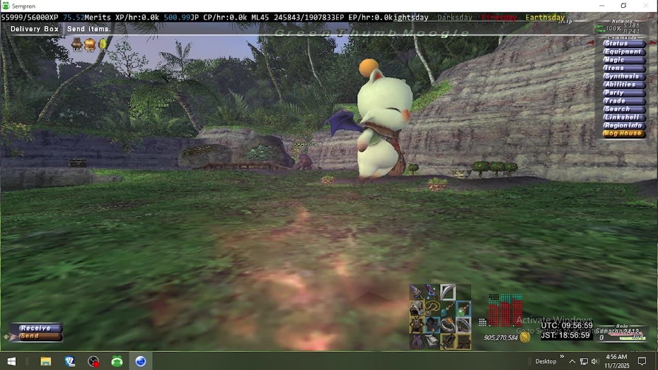 Playing Final Fantasy XI Online