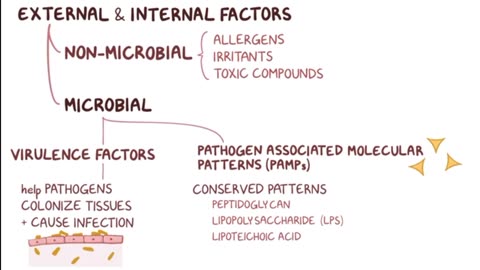 Inflammation
